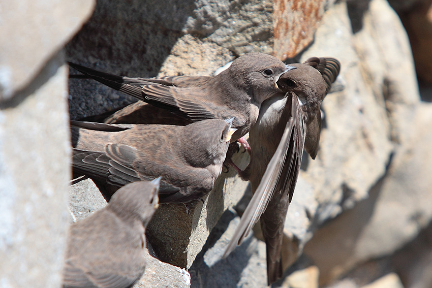 Uno a lui,uno te e uno a me